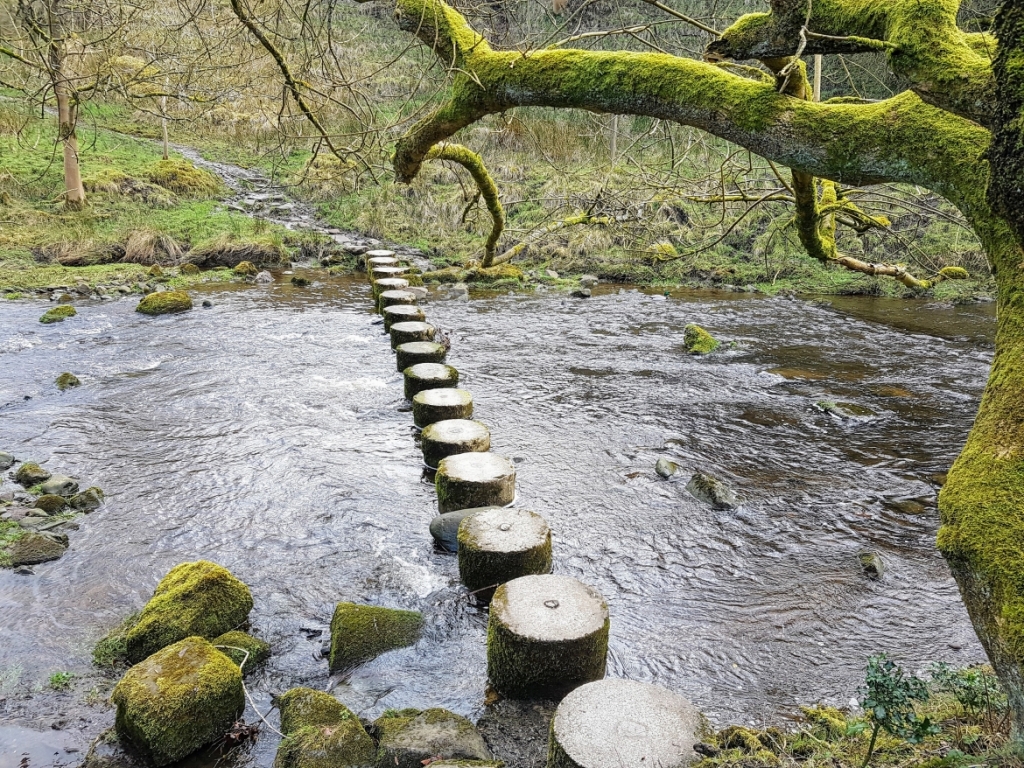Roughlee Stepping Stones